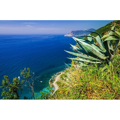 The Ligurian Sea from the Sentiero Azzurro (Blue Trail) near Vernazza-Cinque Terre-Liguria-Italy